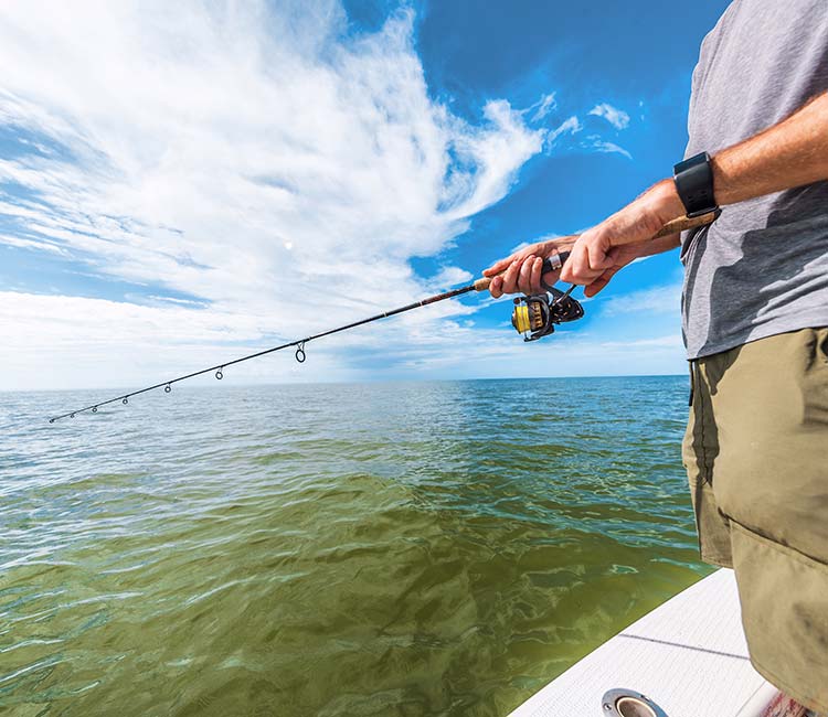 Triple D Charters: Premier Fishing Adventures in Islamorada, FL